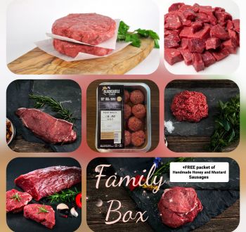 FAMILY BOX - Large
