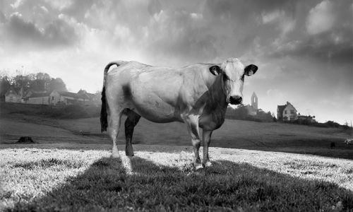 John Commins – Farming with Nature